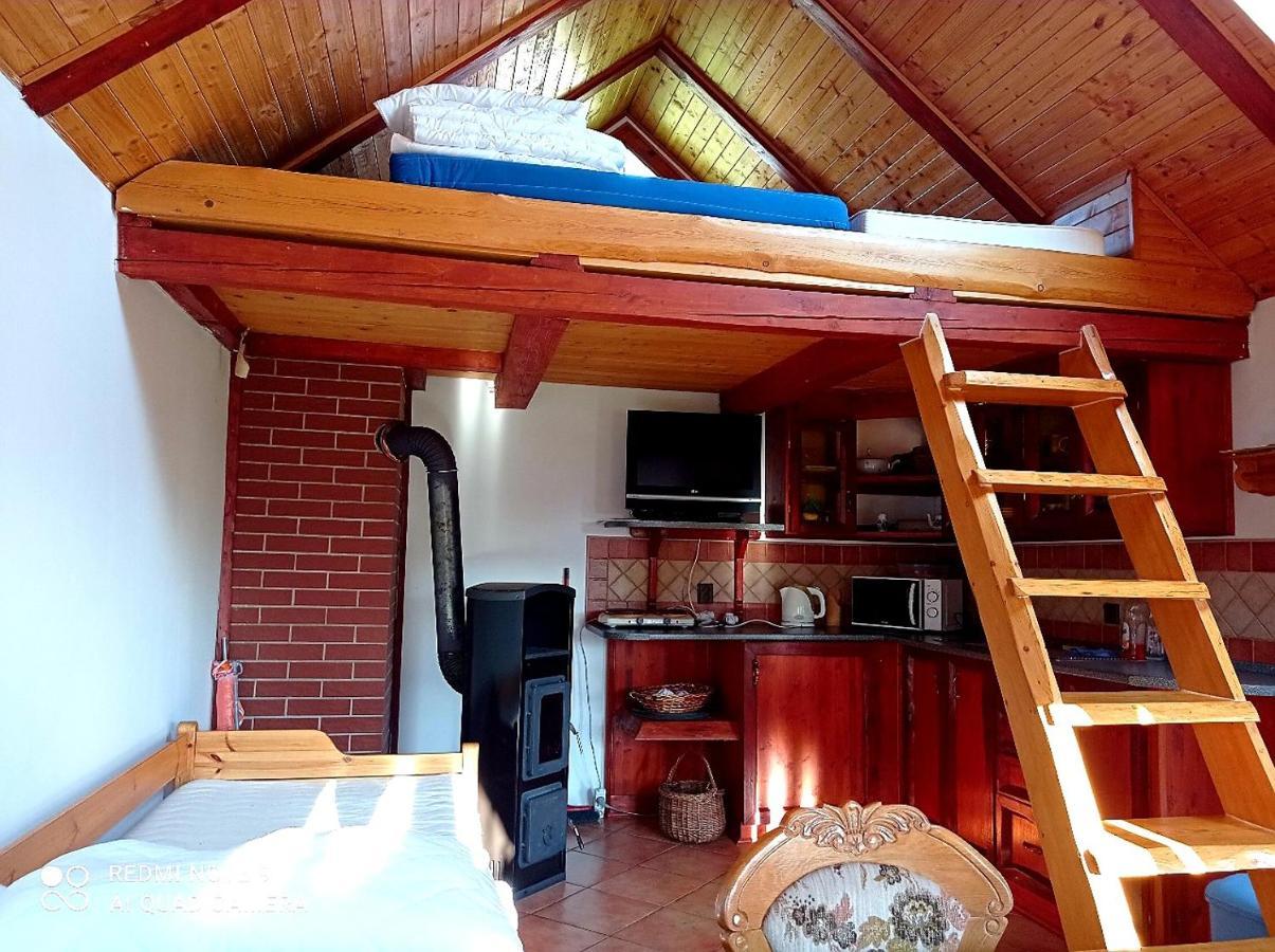Holiday home Dum A Pod Smrkem Nove Mesto pod Smrkem